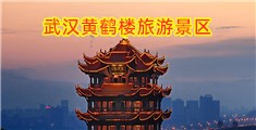 美女日逼免费看