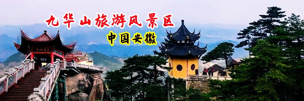 大鸡巴操免费视频